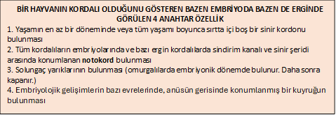BİR HAYVANIN KORDALI OLDUĞUNU GÖSTEREN BAZEN EMBRİYODA BAZEN DE ERGİNDE GÖRÜLEN 4 ANAHTAR ÖZELLİK
1. Yaşamın en az bir döneminde veya tüm yaşamı boyunca sırtta içi boş bir sinir kordonu bulunması
2. Tüm kordalıların embriyolarında ve bazı ergin kordalılarda sindirim kanalı ve sinir şeridi arasında konumlanan notokord bulunması 
3. Solungaç yarıklarının bulunması (omurgalılarda embriyonik dönemde bulunur. Daha sonra kapanır.)
4. Embriyolojik gelişimlerin bazı evrelerinde, anüsün gerisinde konumlanmış bir kuyruğun bulunması 
